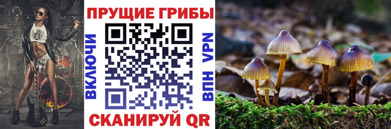 Галлюциногенные грибы мицелий  закладка  ОМГ ОМГ вход  Полесск 